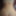 FloweryMask42