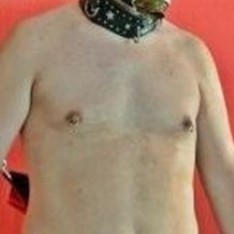 Chris gay