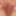 Kinkycouple4176