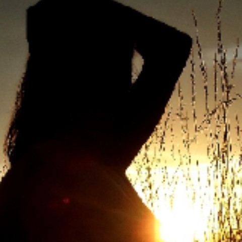 Wildkarinapics