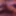 Prabind69