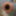 buttplughole