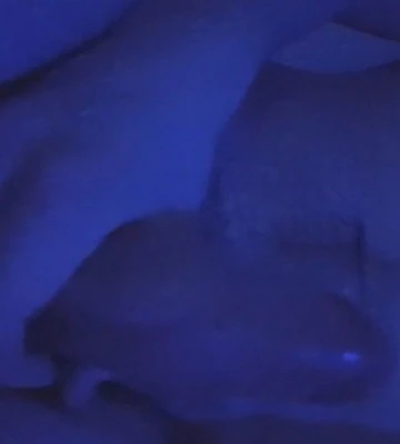 BigBoyXXLProducer