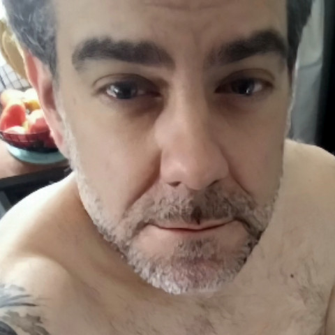 MikesSalve