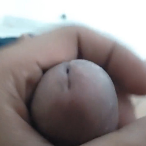 CockMelon