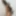TinySizedFeet