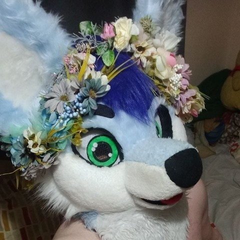 BlueHuskyuwu