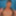Will Evans