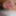 Juliegirl1313