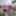 alexia twerk videos