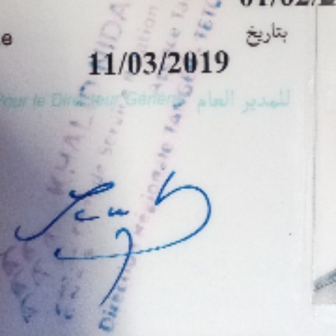 Fahsi1993