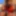 Peopleperson224