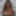 Daphne Joy