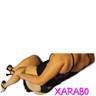 Xara80