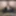 Bengalivideos40