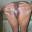 shapemodel