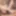 Pixel Guy