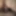 Gatita_travieza