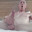 Cockshowy