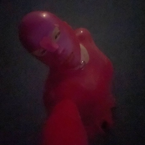 PervyLara