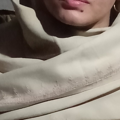 Udan Cricle