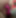 Spreadme124