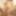Tim_moncter_dick