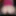 Bettycoquine 