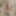 Olgierd