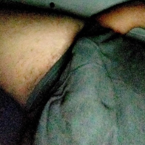 Rex_hergutz