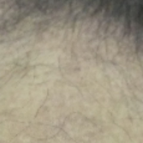 Exotic Indo Male