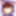 Shoyo
