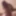 Cocknudist101
