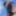 AmourAmateur