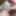 Closeupsexx