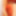 covo_sissy_cross