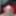 Matty Smith