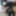 kinkyplayer2022