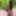 BadMash_Bhabhi