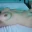 Lovecouple80