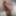 Daisy_Melanin20s