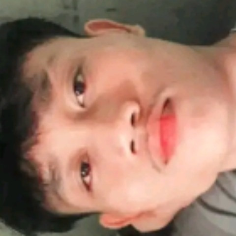 Geex33