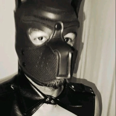 Black Bator 