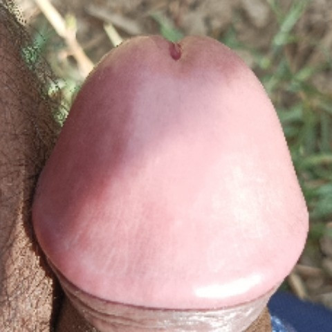 Onlycum