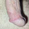 Just for hang