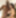 Lexington Steele