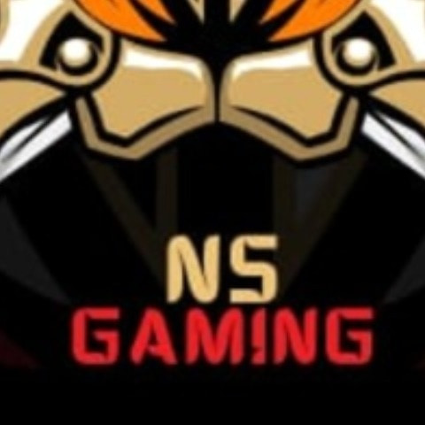 Ns gaming01