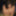 Privet_Shows