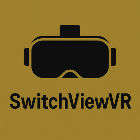 SwitchViewVR