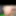 Desi xxx Gand Video 